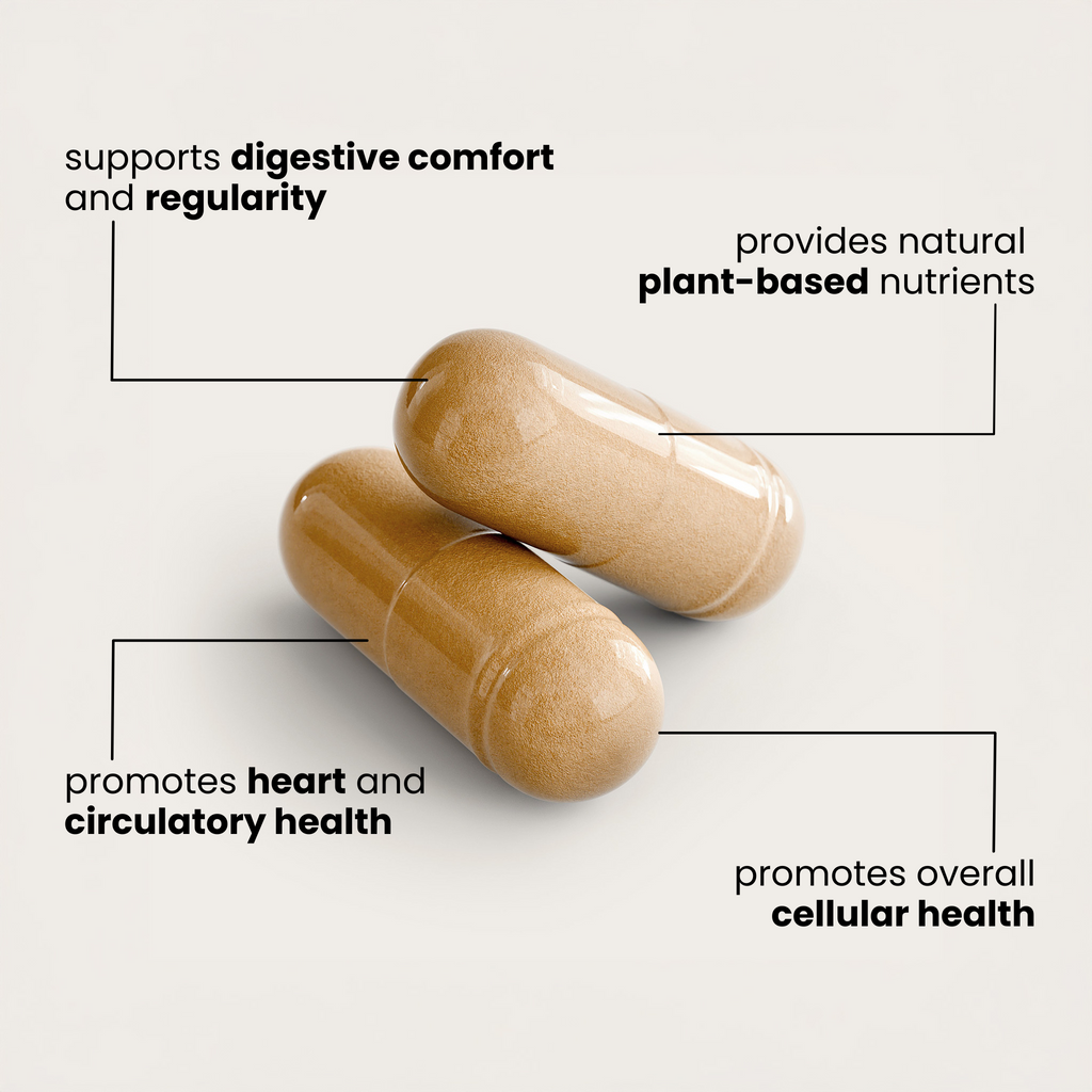 Plant-Based Digestive Support