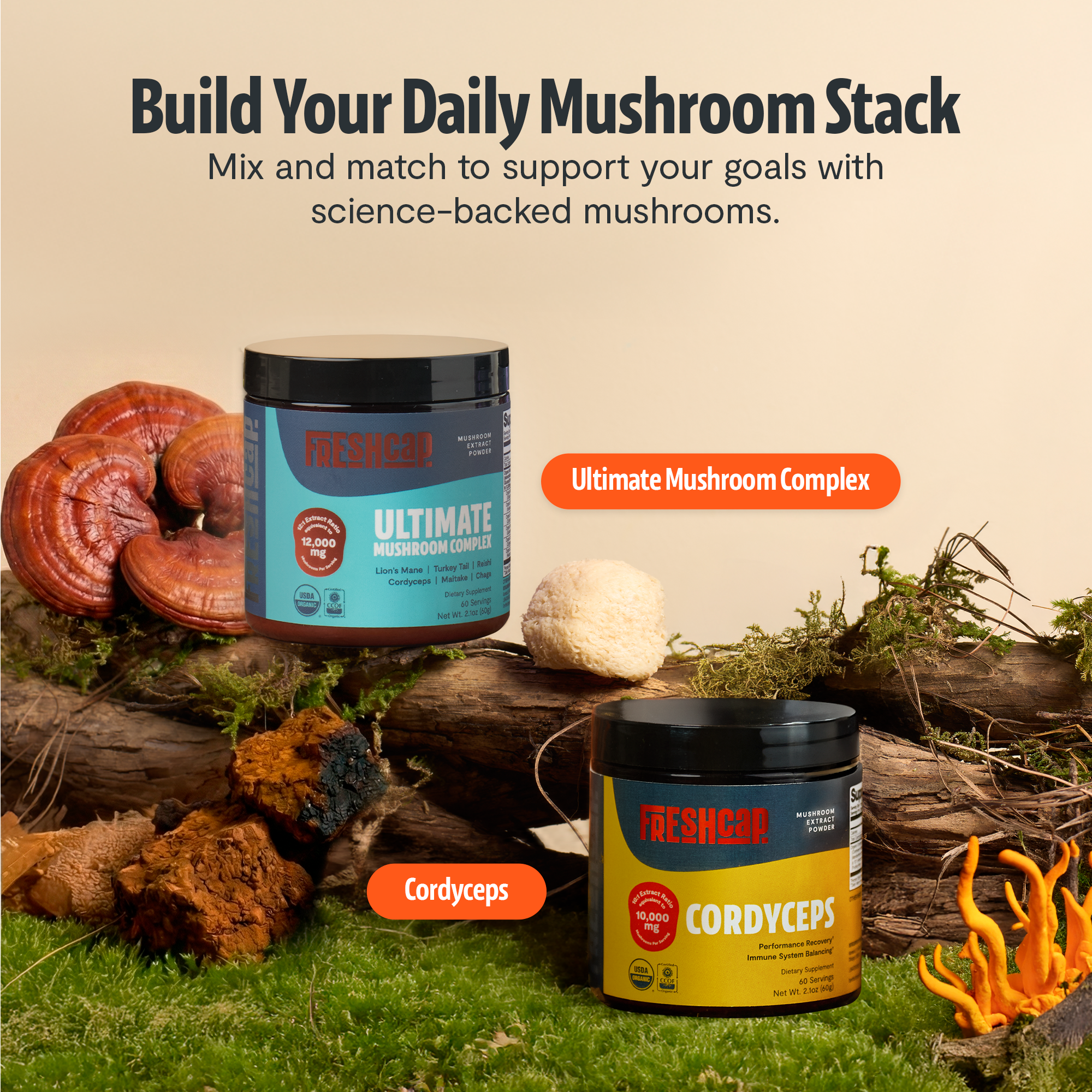 Organic Mushroom Extract Powder Blend