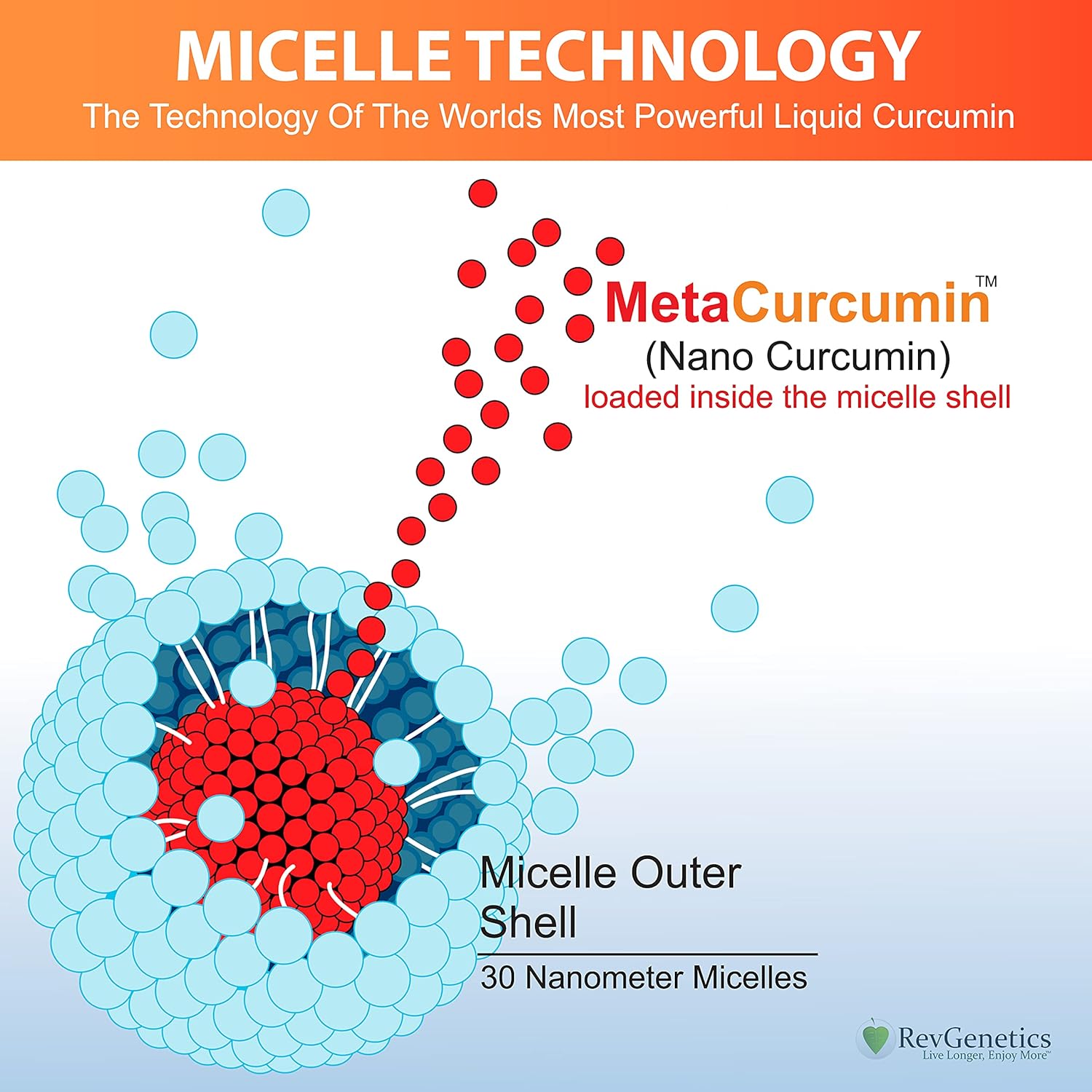 MetaCurcumin 277x: 10x SIRT6 Boost, No Pepper