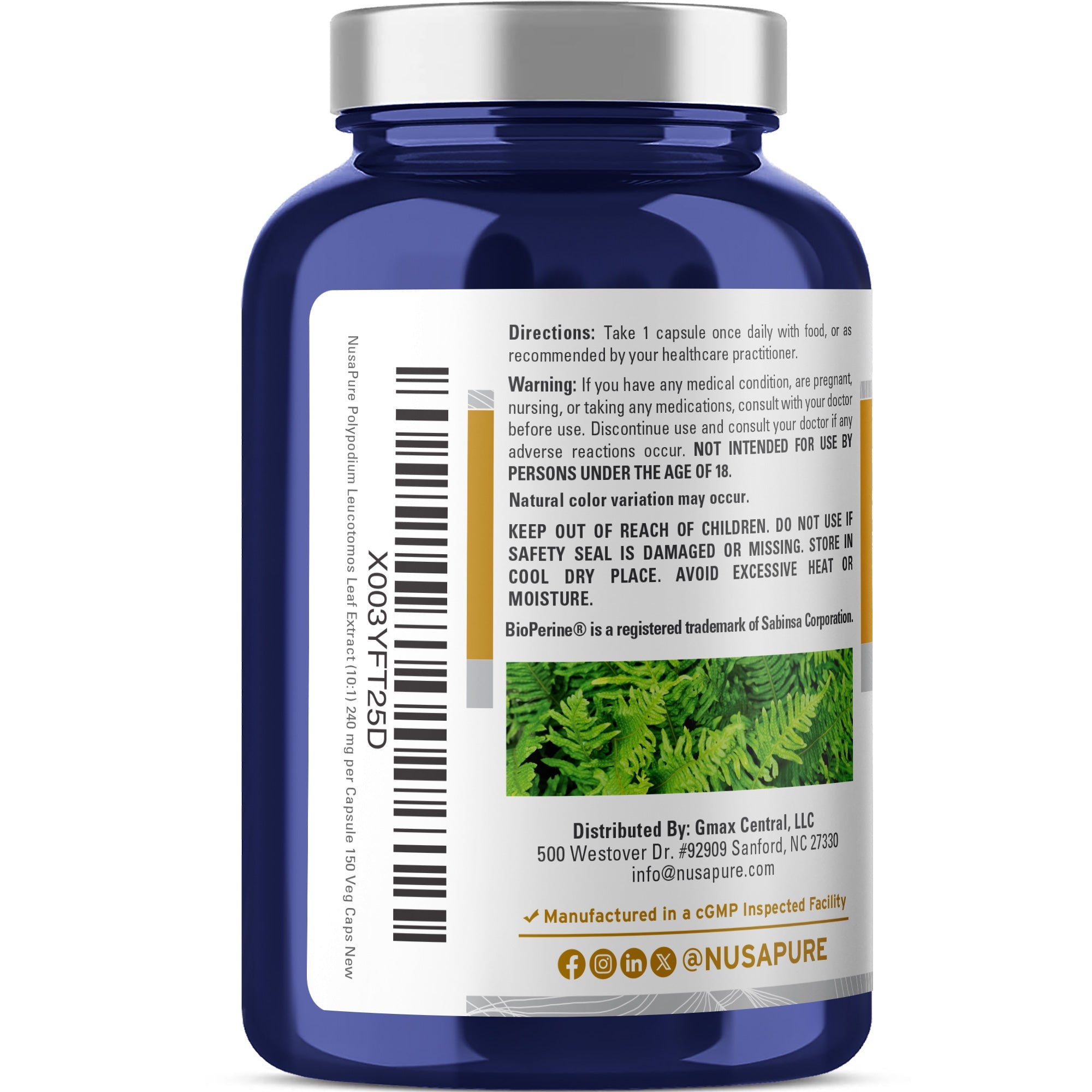 NusaPure Polypodium Nicotinamide 10:1 Extract, 240 mg per Veg Caps - 150 Count (Non-GMO, Soyfree, Bioperine)