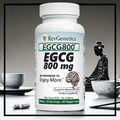 EGCG 800mg Caffeine-Free: Green Tea Extract for Cellular Health