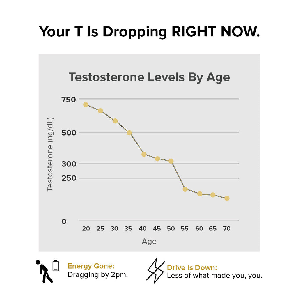 Nature's Lab Gold Vital Testosterone - 90 Capsules