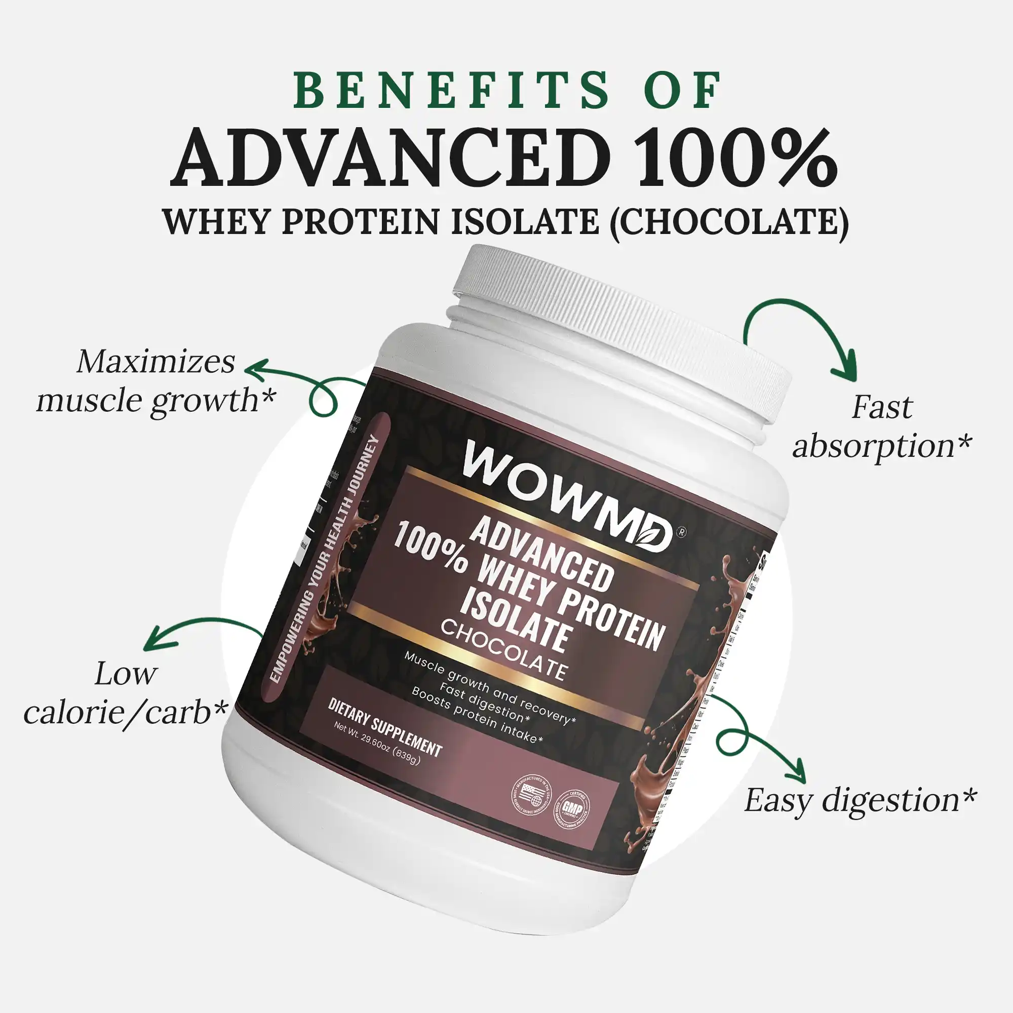 Advanced 100% Whey Protein Isolate (Chocolate)