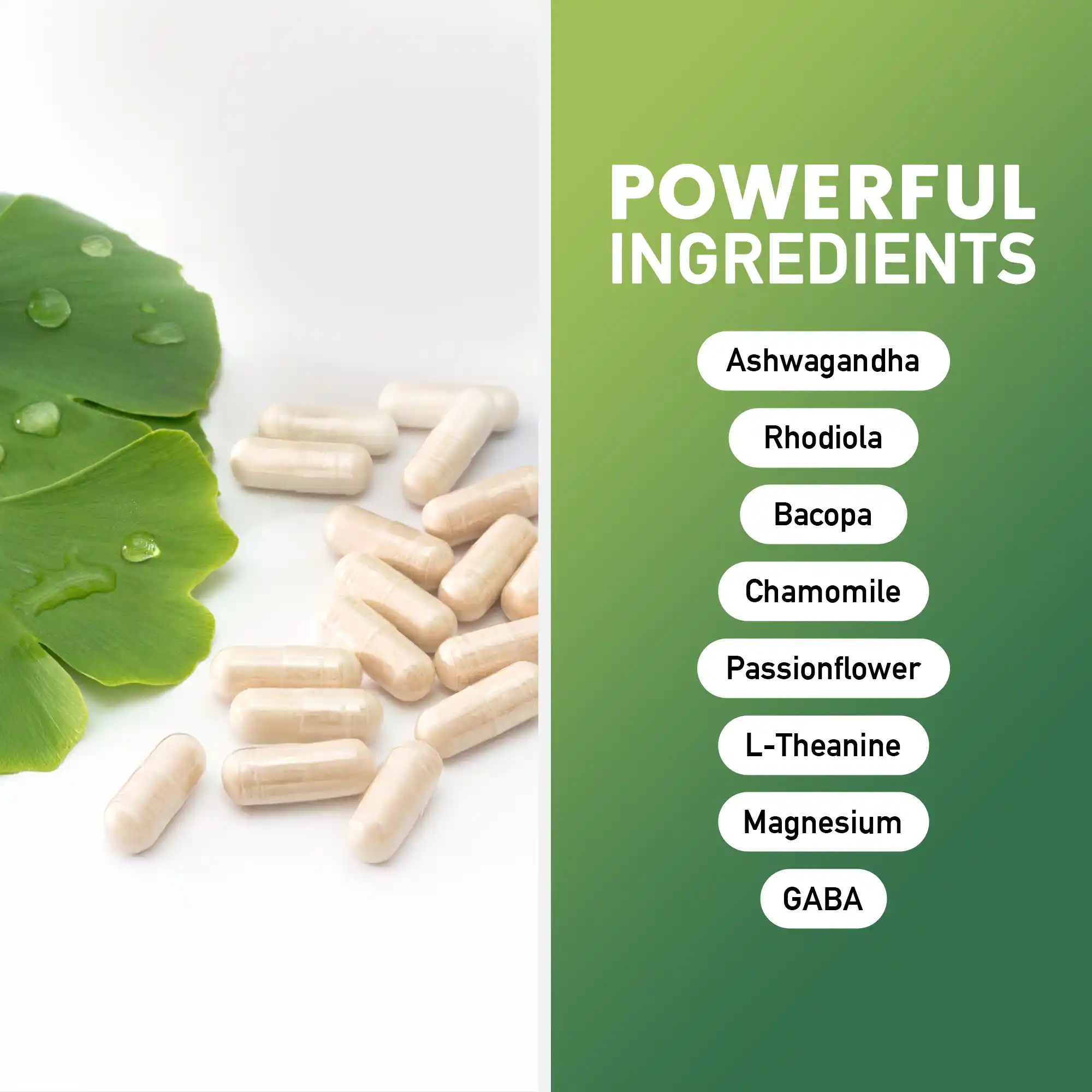 Anxiety Shield