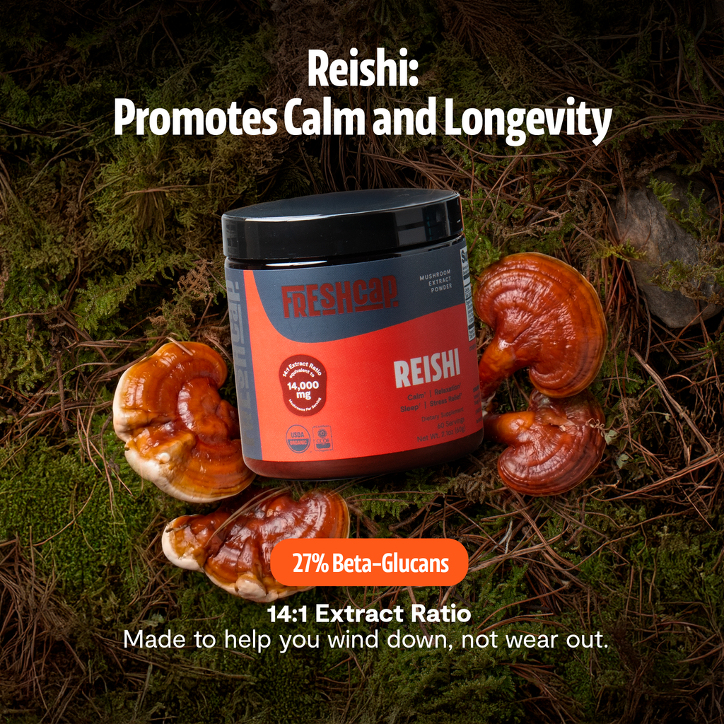 Organic Reishi Mushroom Powder