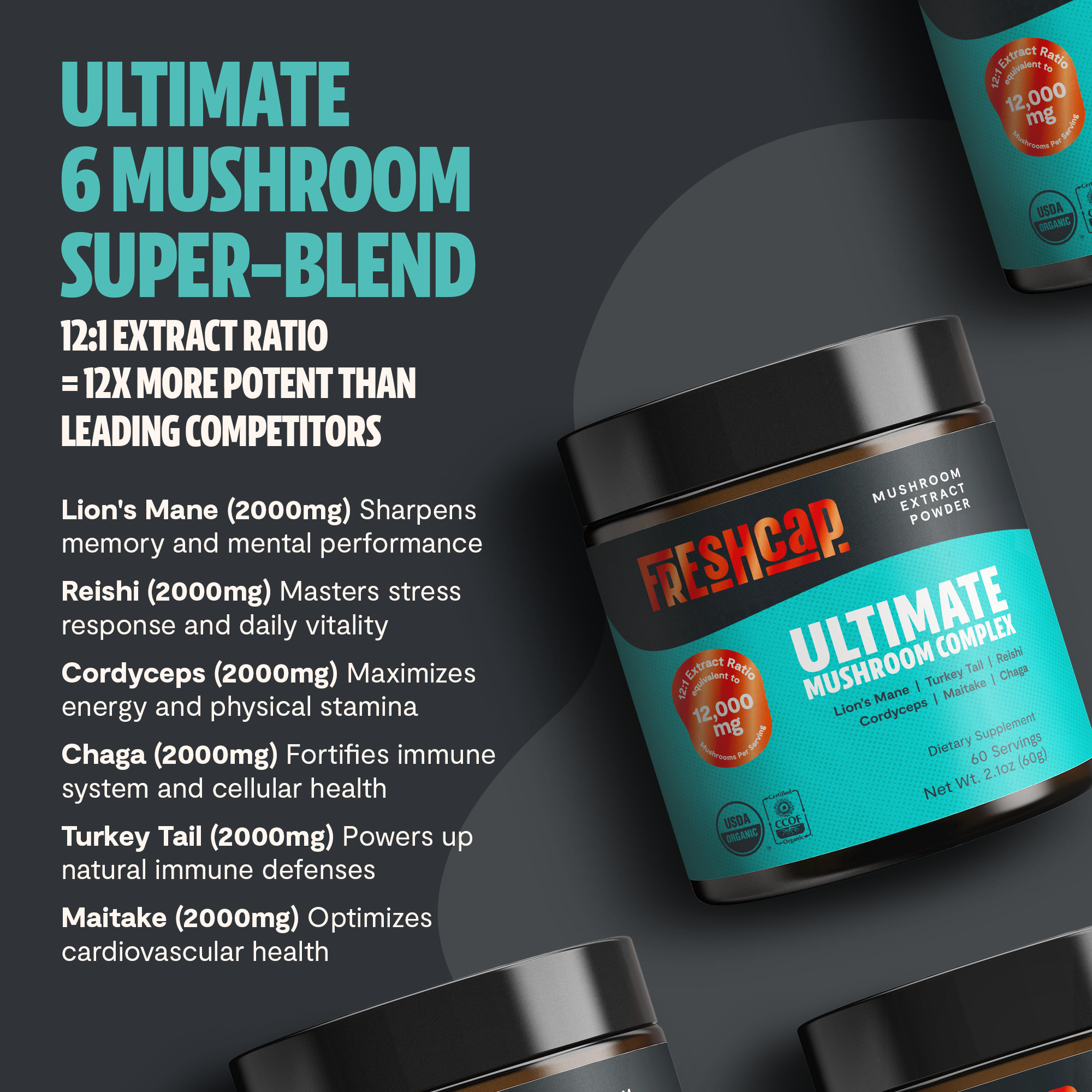Organic Mushroom Extract Powder Blend