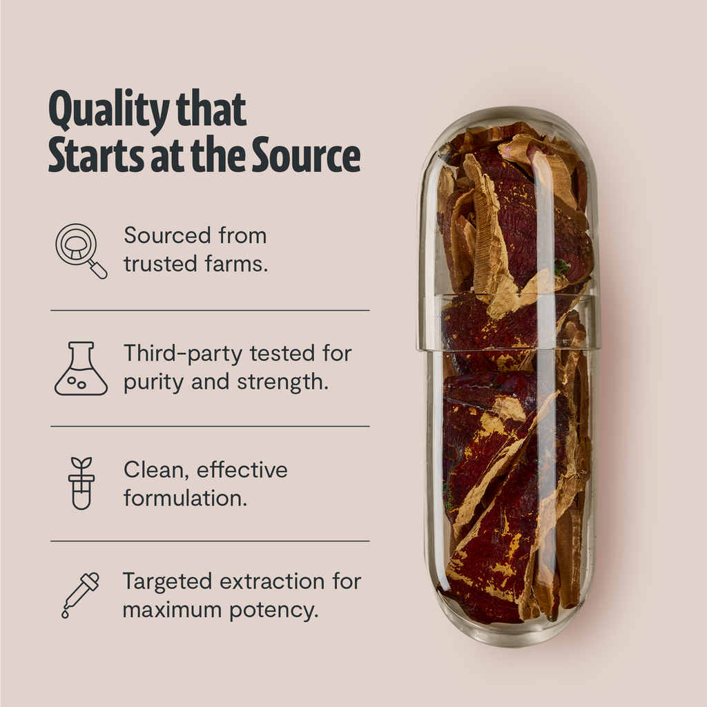 Organic Reishi Mushroom Capsules
