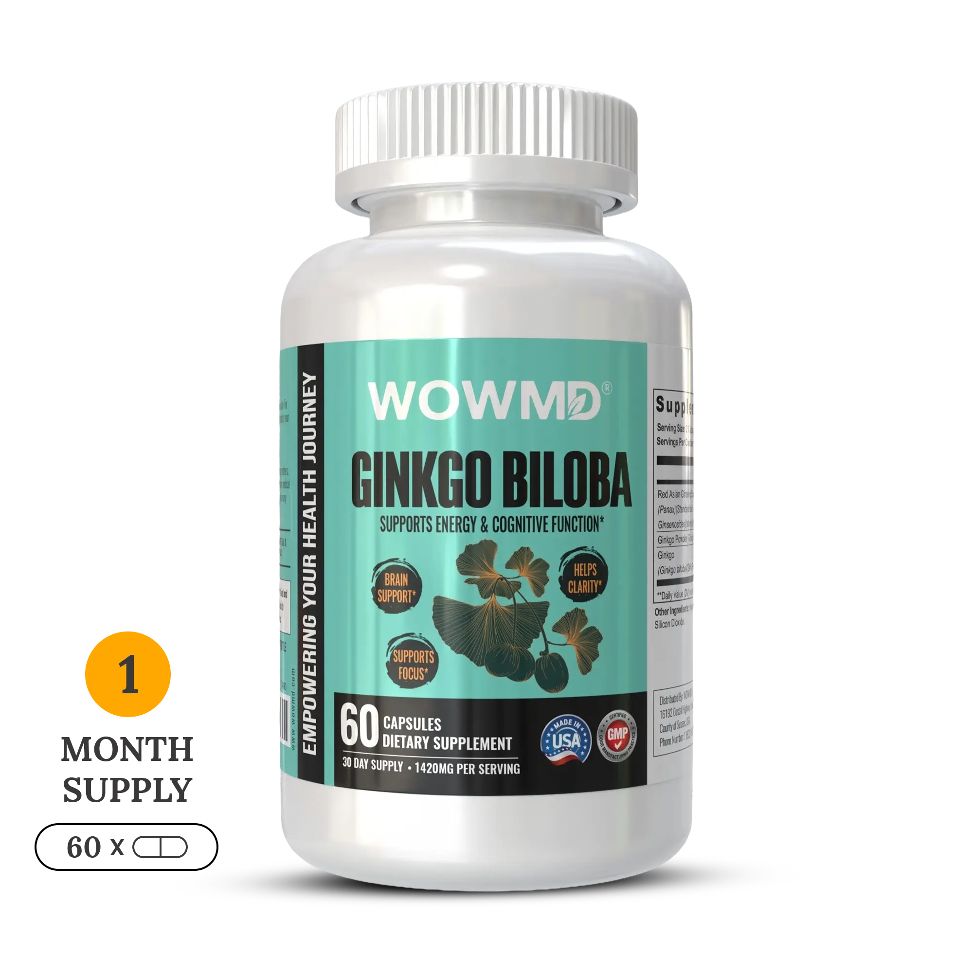 Ginkgo Biloba