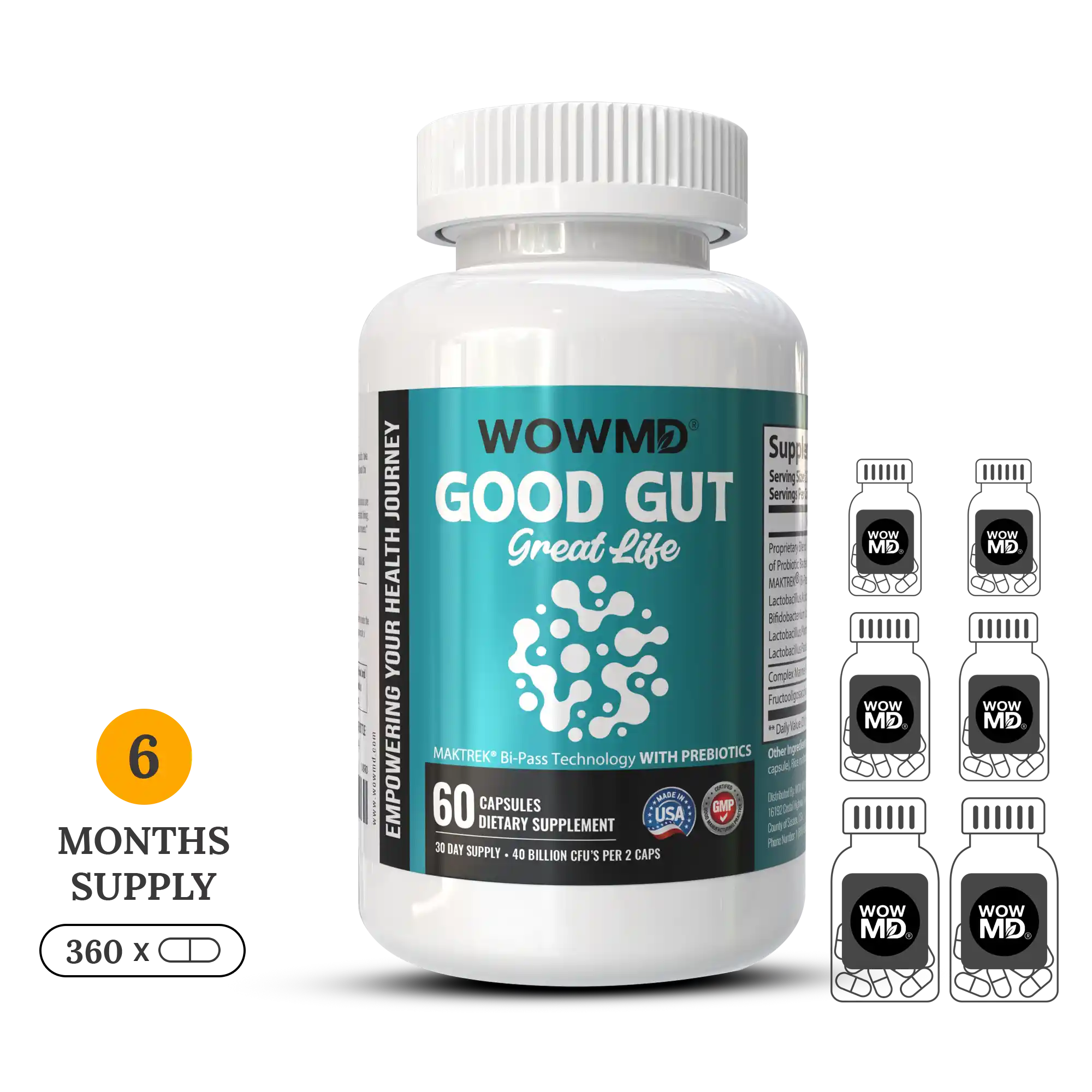Good Gut Great Life