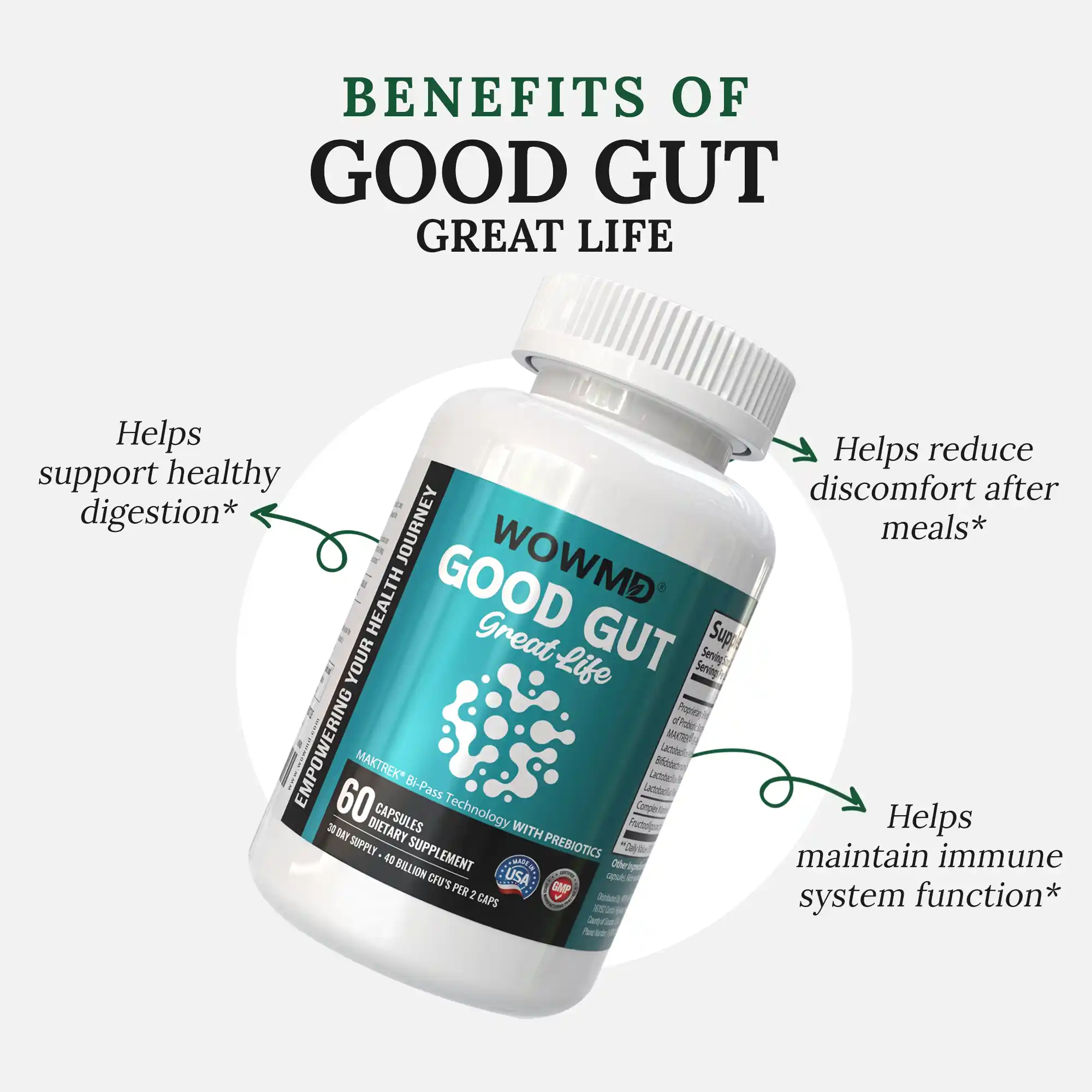 Good Gut Great Life