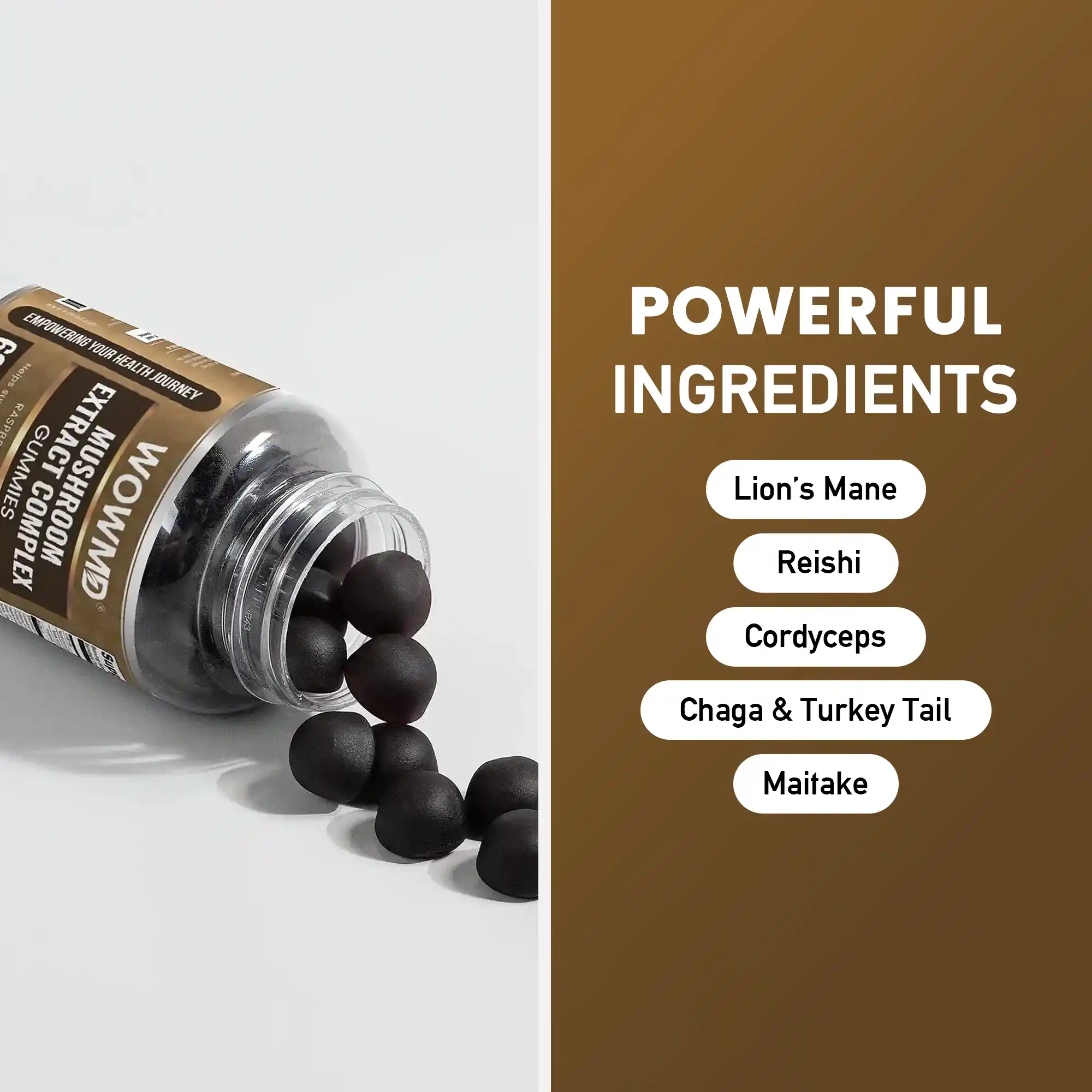 Mushroom Extract Complex Gummies