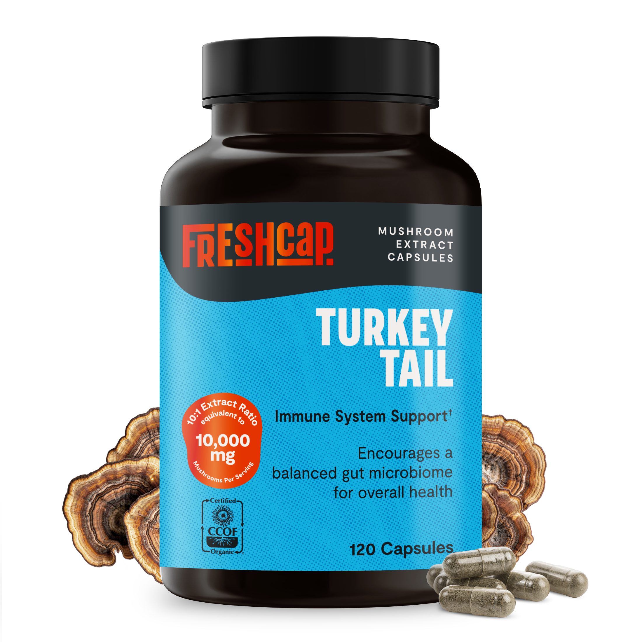 Organic Turkey Tail Mushroom Capsules